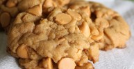 Chocolate Chip Pudding Cookies Recipe | Allrecipes