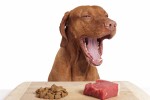Best Healthy Homemade Raw Dog Food Recipes for …