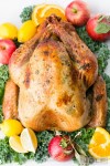 Juicy Roast Turkey Recipe - NatashasKitchen.com