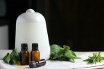20 Essential Oil Recipes for Diffusers - The Prairie …