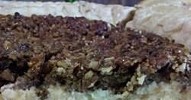 Caramel Pecan Pie Cheesecake Recipe | Allrecipes
