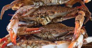 Our 17 Best Summer Blue Crab Recipes | Saveur