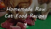 Homemade Raw Cat Food Recipes - New Life On A …