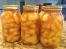 Apple Pie Filling - Canned or You Can Freeze It! Recipe