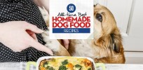 50 Best Homemade Dog Food Recipes - Top Dog Tips