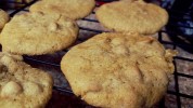 Reese's Original Peanut Butter Chip Cookies Recipe
