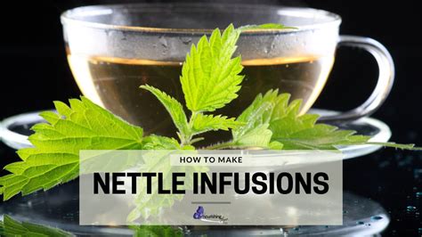 How To Make Nettle Infusions - Nourishing Time
