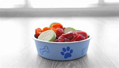 Easy Raw Dog Food Recipe with Ground Beef and …