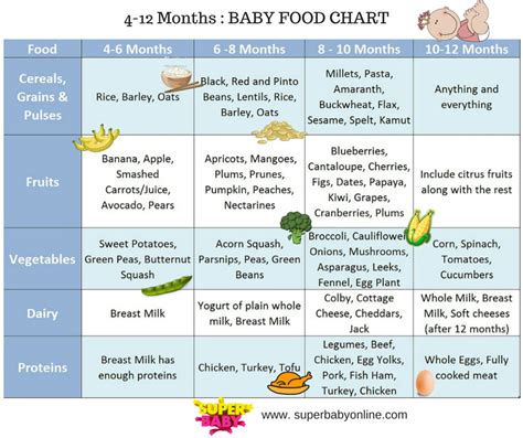 Indian Baby Food Chart : 6 to 12 months (with 45 recipes ) …
