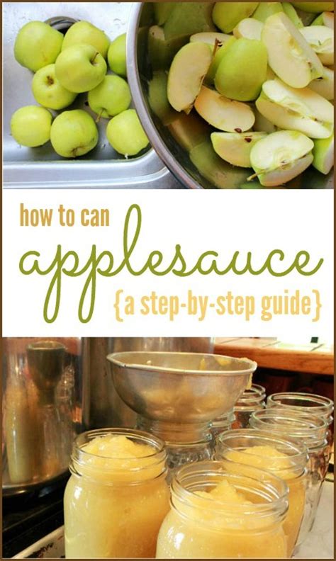 Canning Recipes: 60 Most Popular Guides to Preserve …