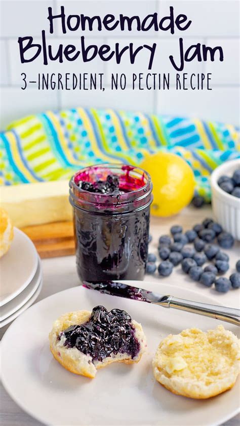 How to Make Blueberry Jam (no pectin recipe)