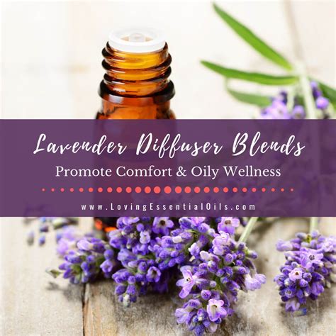 Lavender Diffuser Blends - 10 Calming Essential Oil …