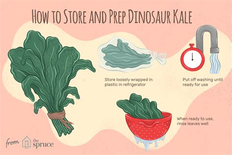 What Is Dinosaur Kale? - The Spruce Eats