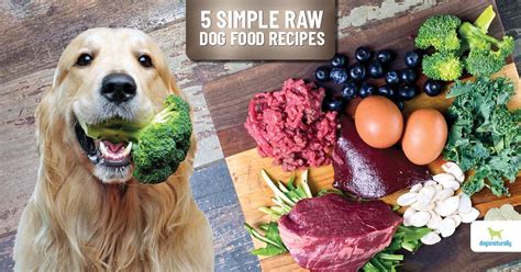 5 Easy To Make Raw Dog Food Recipes - Dogs Naturally