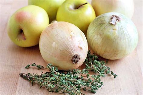 Easy Caramelized Apples and Onions Recipe | Foodal