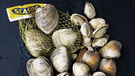 Shellfish: Our Guide to Buying, Storing, and Cooking …