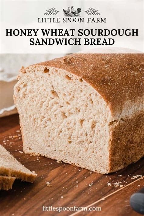 Honey Wheat Sourdough Sandwich Bread - Little Spoon …