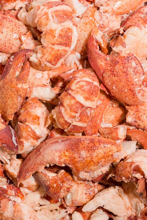 Fresh Maine Lobster Meat • Harbor Fish Market