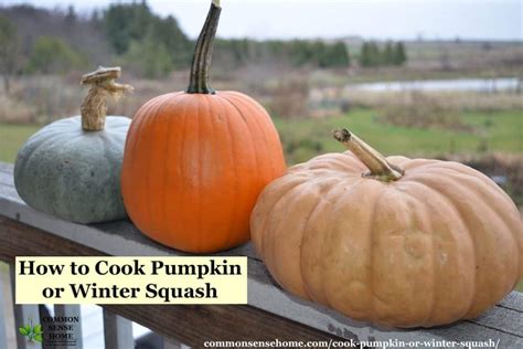 How to Cook Pumpkin or Winter Squash - 3 Easy …