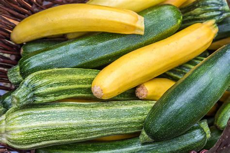 Zucchini Recipes | Allrecipes