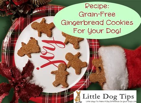 Recipe: Grain Free Gingerbread Cookies For Dogs! - Little Dog Tips