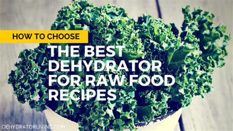 How to Choose the Best Dehydrator for Raw Food Recipes
