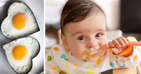 5 Health Benefits Of Eggs For Babies And 11 Simple …