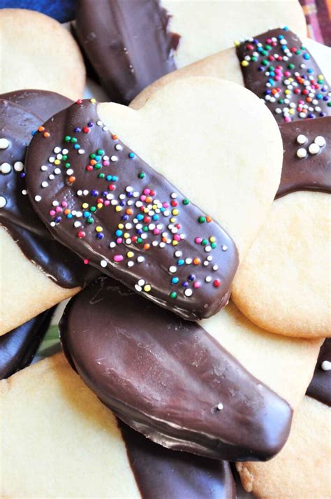 Chocolate Covered Cookies - Culinary Shades