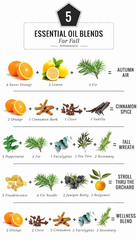 11 Essential Oil Blends To Make Your House Smell …