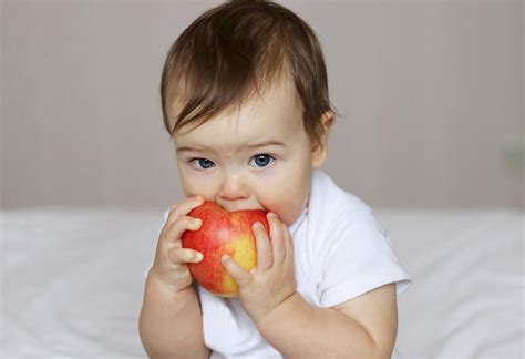10 Quick and Easy to Make Apple Recipes for Baby