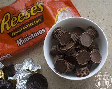 REESE’S Peanut Butter Cookie Cups - Like Mother, Like …