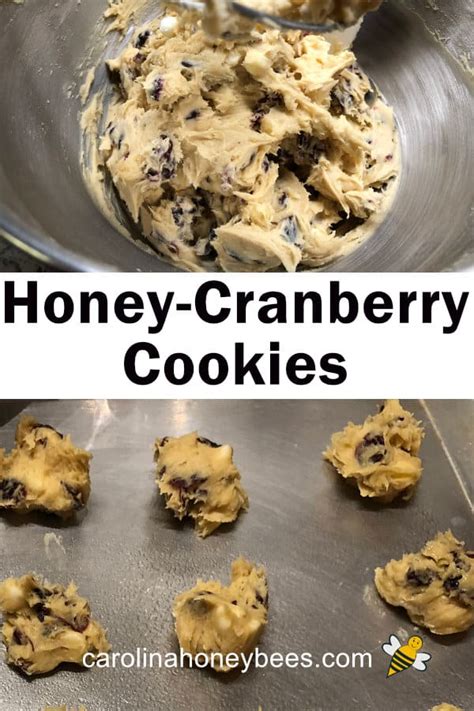 Healthy Cranberry Cookies (with Honey) - Carolina …