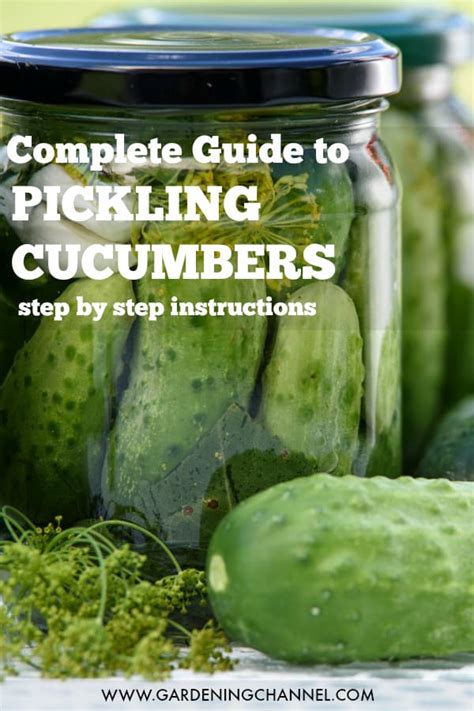 How to Pickle Cucumbers - Gardening Channel