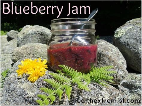 How to Make Blueberry Jam - no pectin and no refined …