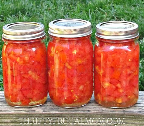 43 Must Try Canning Recipes - Thrifty Frugal Mom