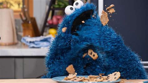 The Inspiration Behind Cookie Monster's New Book, "The …