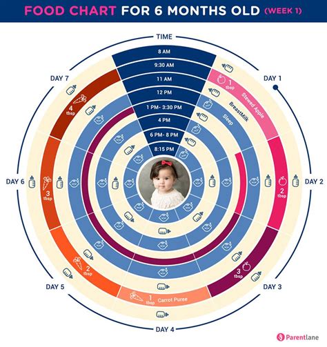 6 Months Old Baby Food Chart - Parentlane
