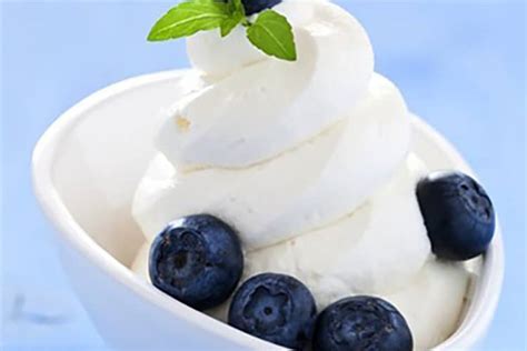 Vanila flavored frozen yogurt recipe with no refined …