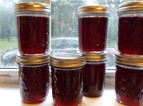 Wild Muscadine Jelly | Just A Pinch Recipes