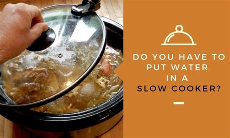 Do You Have To Put Water In a Slow Cooker/Crockpot?