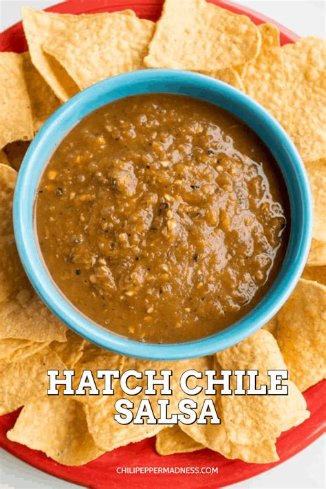 Hatch Chile Salsa - Recipe - Chili Pepper Madness