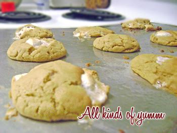 Peanut Butter Marshmallow Cookies | Tasty Kitchen: A …