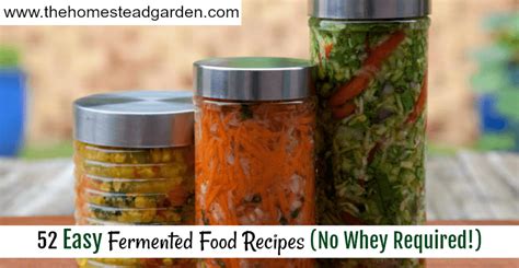 52 Easy Fermented Food Recipes (No Whey Required!)