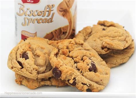 Biscoff Spread & Chocolate Chip Cookie Recipe