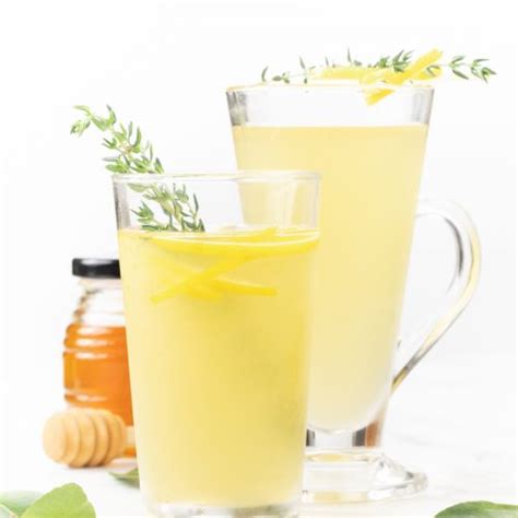 Top 10 Lemon Juice Recipes - Healthy & Zesty Summer …
