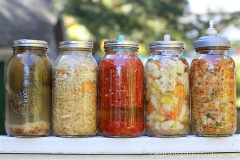 5 No-Fail Fermented Food Recipes for Beginners
