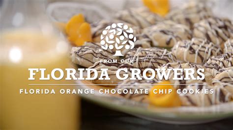 McKenna Family – Florida Orange Chocolate Chip …