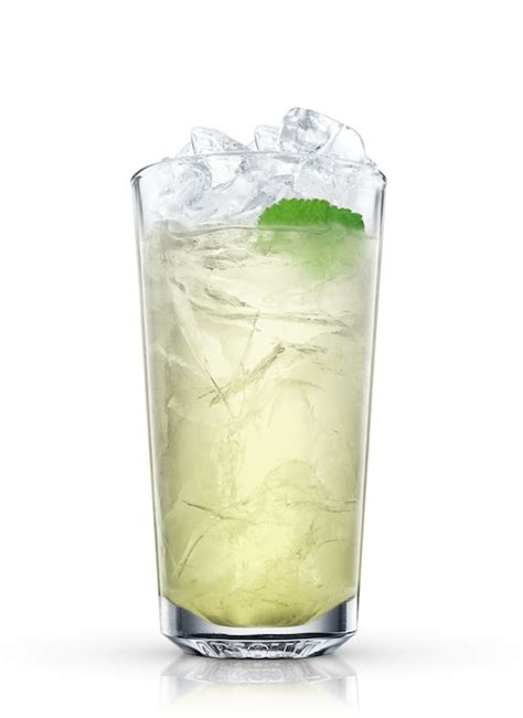Absolut Wild Mojito Recipe | Absolut Drinks