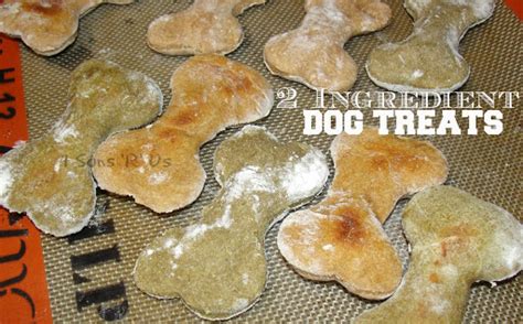 2 Ingredient Dog Treats Recipe - (4.2/5)