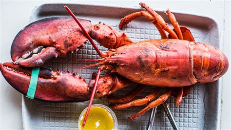 Perfectly Steamed Lobster Recipe - Bon Appétit